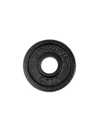 TUNTURI | Discos de hierro fundido para mancuernas 2 x 0,5 KG | 